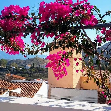 Casa Caballito De Mar Boutique B&B Bedar Exterior photo
