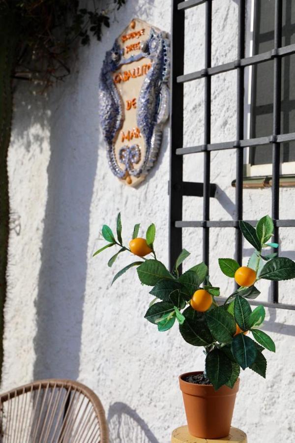 Casa Caballito De Mar Boutique B&B Bedar Exterior photo