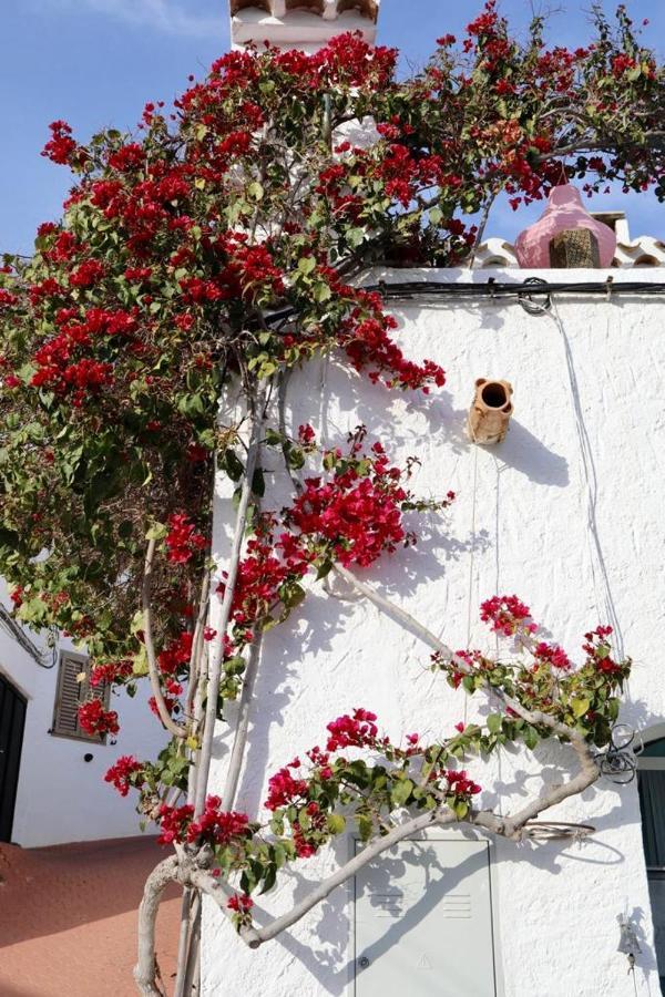 Casa Caballito De Mar Boutique B&B Bedar Exterior photo