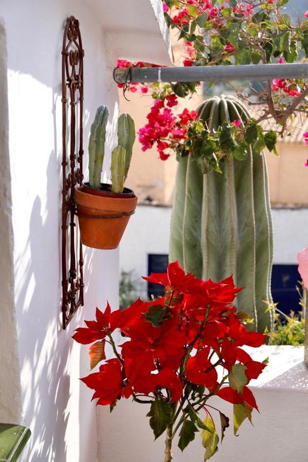 Casa Caballito De Mar Boutique B&B Bedar Exterior photo