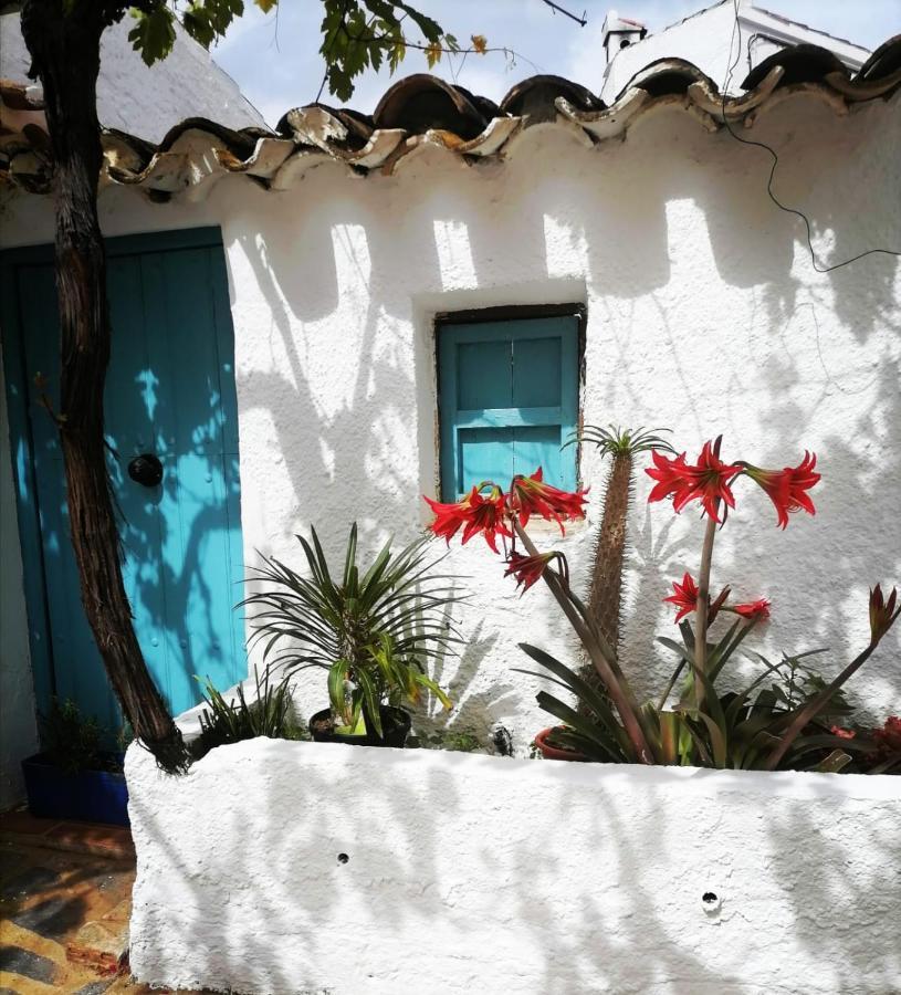 Casa Caballito De Mar Boutique B&B Bedar Exterior photo