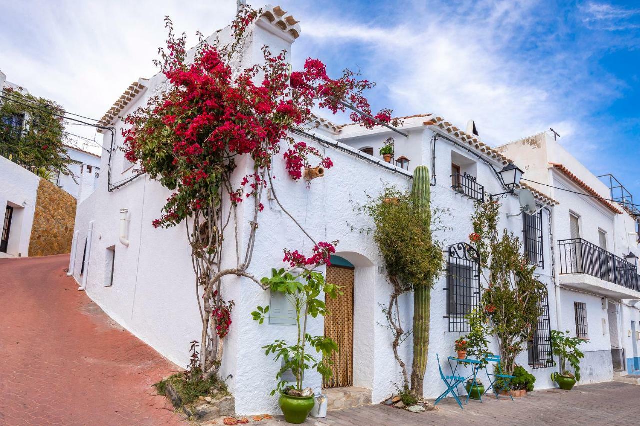Casa Caballito De Mar Boutique B&B Bedar Exterior photo