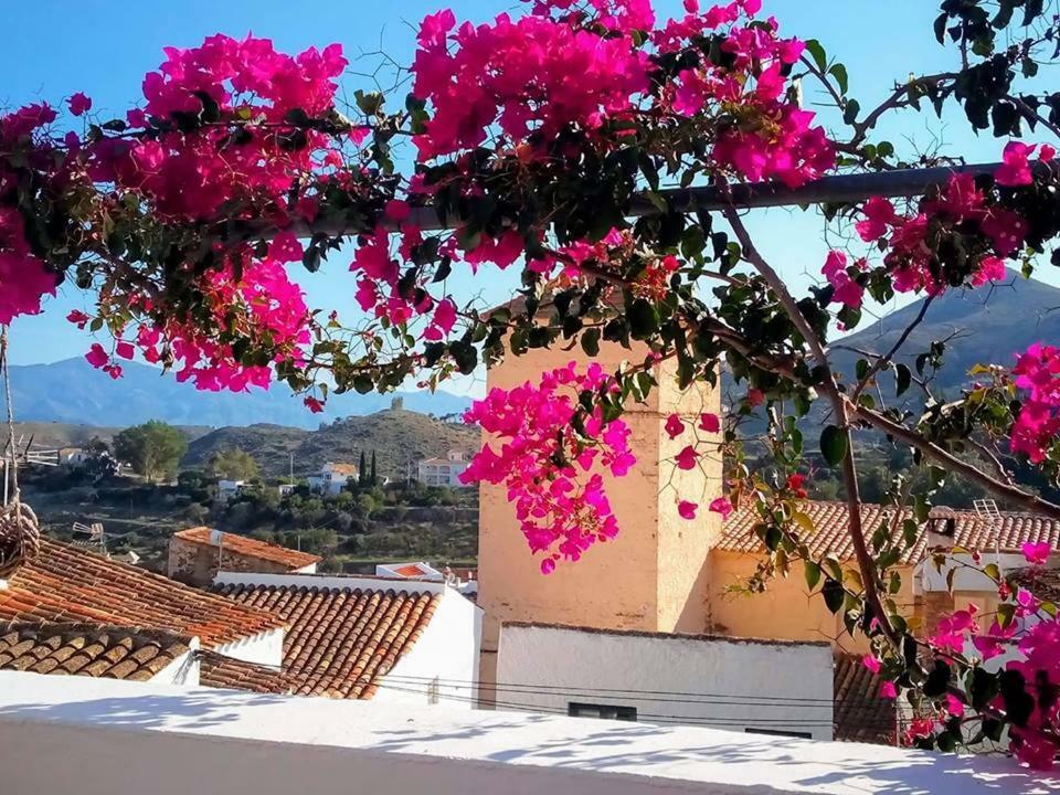 Casa Caballito De Mar Boutique B&B Bedar Exterior photo